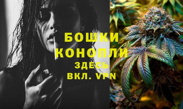гидра Верхний Тагил