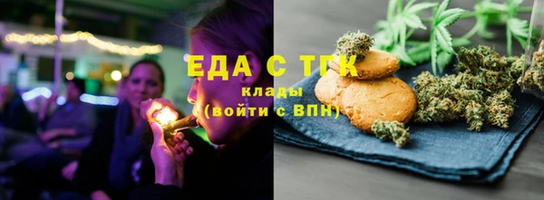гидра Верхний Тагил