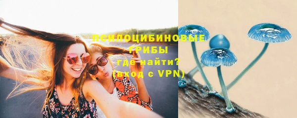 бутират Верея