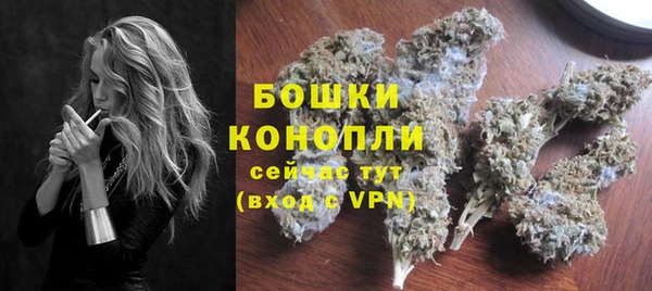 гидра Верхний Тагил