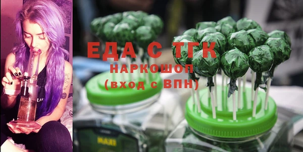 тгк Бородино