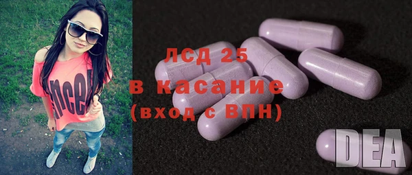 гидра Верхний Тагил