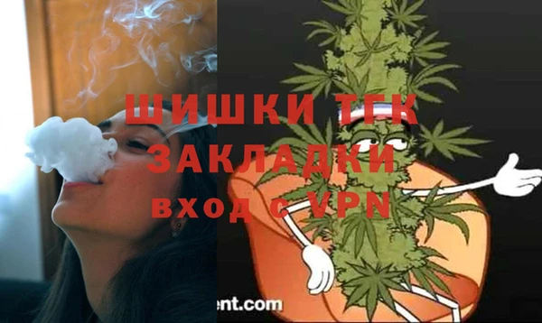 гидра Верхний Тагил