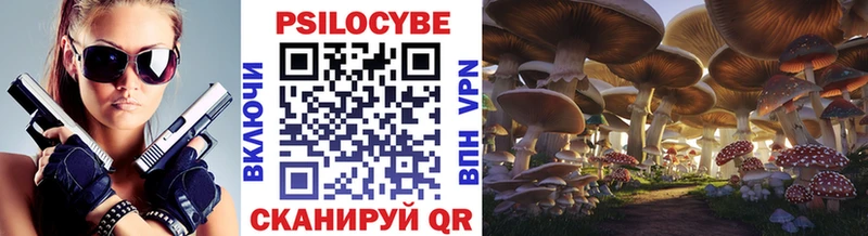 сколько стоит  Кашин  Псилоцибиновые грибы GOLDEN TEACHER 