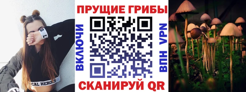 Псилоцибиновые грибы мухоморы Кашин